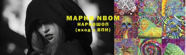 ГАЛЛЮЦИНОГЕННЫЕ ГРИБЫ Корсаков