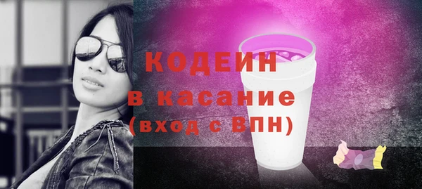 ГАЛЛЮЦИНОГЕННЫЕ ГРИБЫ Корсаков