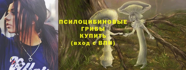 2c-b Коряжма