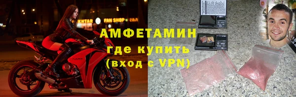 ГАЛЛЮЦИНОГЕННЫЕ ГРИБЫ Корсаков