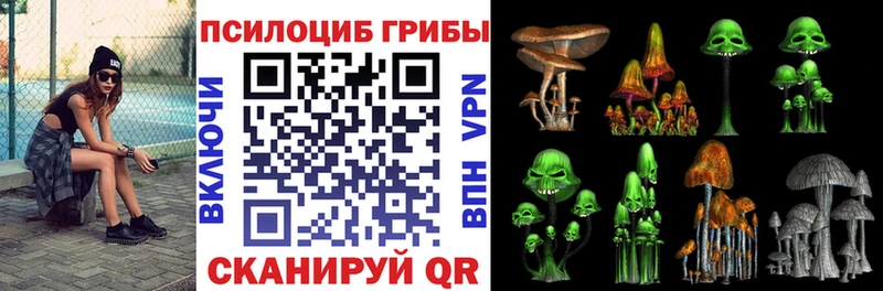 Галлюциногенные грибы MAGIC MUSHROOMS  Купить где  Нурлат 